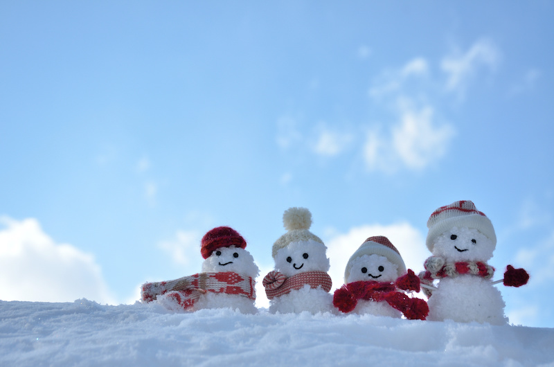 神奈川県・湘南エリアに住むなら雪対策は必要？